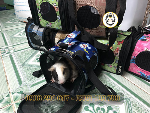 TUI DU LICH SIZE TRUNG